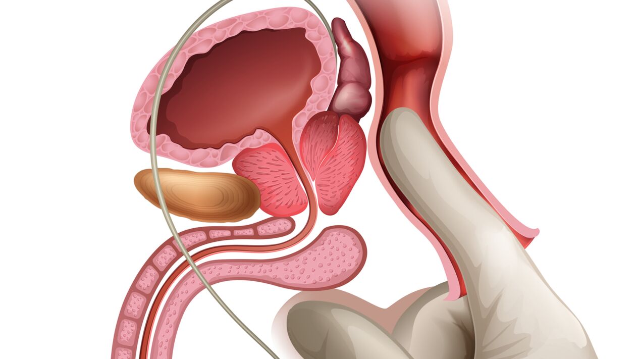 Masazhi i prostatës është një mënyrë efektive për trajtimin e prostatitit kongjestiv